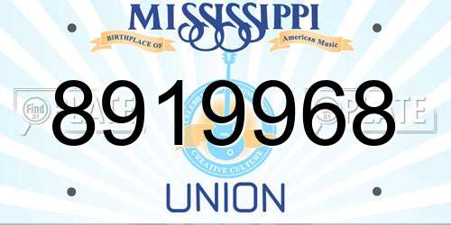 8919968 Mississippi License Plate
