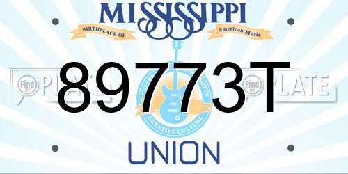 89773T Mississippi License Plate