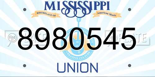 8980545 Mississippi License Plate