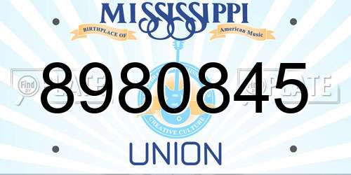 8980845 Mississippi License Plate