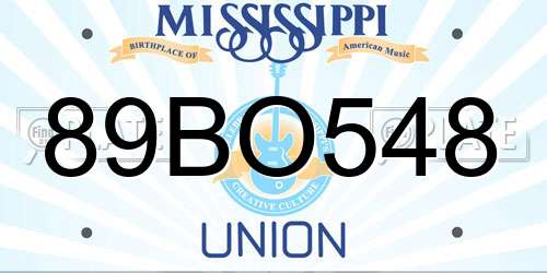 89BO548 Mississippi License Plate
