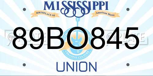 89BO845 Mississippi License Plate