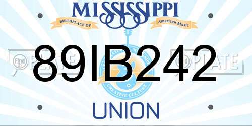 89IB242 Mississippi License Plate