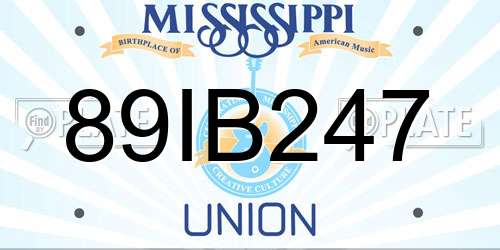 89IB247 Mississippi License Plate