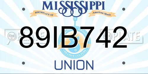 89IB742 Mississippi License Plate