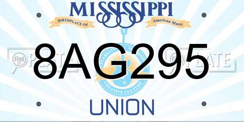 8AG295 Mississippi License Plate