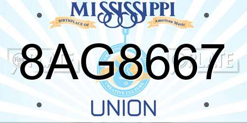 8AG8667 Mississippi License Plate