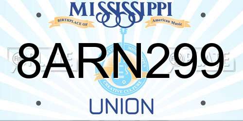 8ARN299 Mississippi License Plate