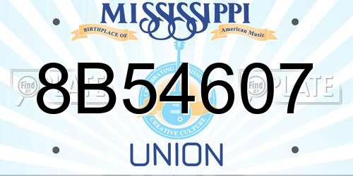8B54607 Mississippi License Plate