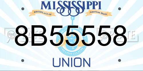 8B55558 Mississippi License Plate