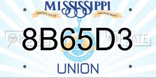 8B65D3 Mississippi License Plate
