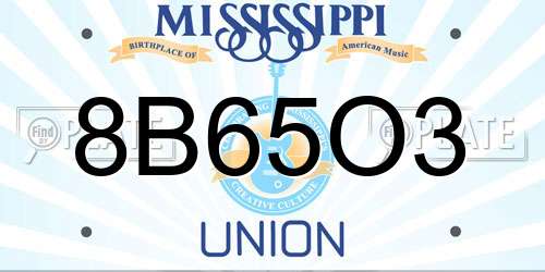 8B65O3 Mississippi License Plate
