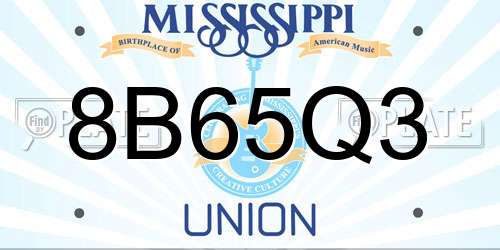 8B65Q3 Mississippi License Plate