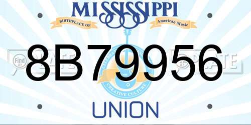 8B79956 Mississippi License Plate