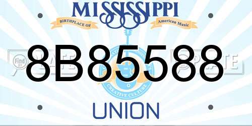 8B85588 Mississippi License Plate