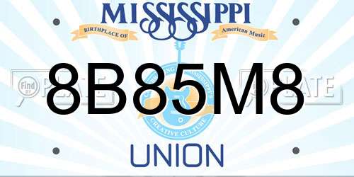 8B85M8 Mississippi License Plate