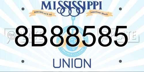 8B88585 Mississippi License Plate
