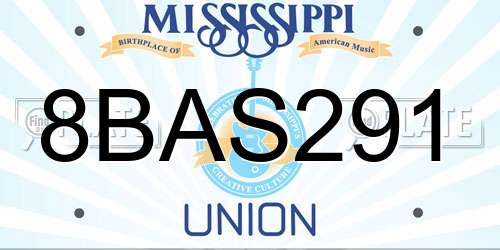 8BAS291 Mississippi License Plate