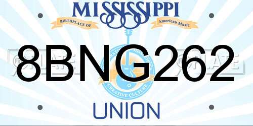 8BNG262 Mississippi License Plate