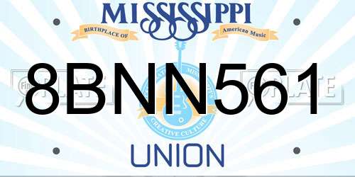8BNN561 Mississippi License Plate