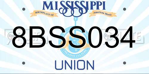 8BSS034 Mississippi License Plate