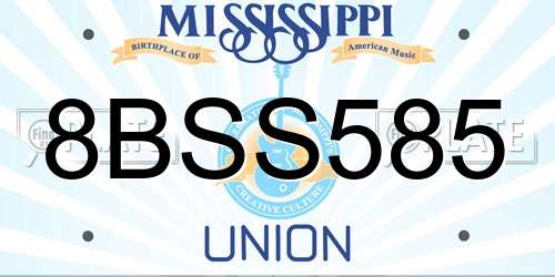 8BSS585 Mississippi License Plate