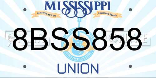 8BSS858 Mississippi License Plate
