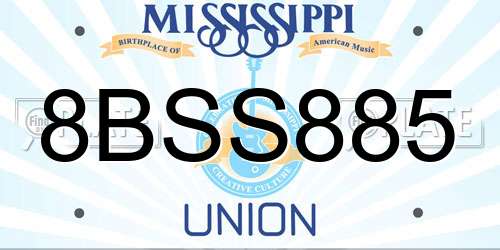 8BSS885 Mississippi License Plate
