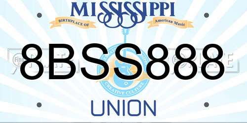 8BSS888 Mississippi License Plate