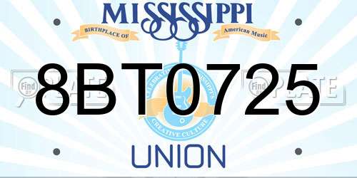 8BT0725 Mississippi License Plate