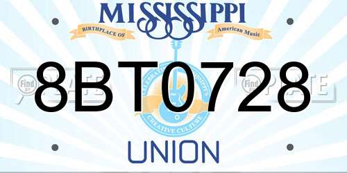 8BT0728 Mississippi License Plate