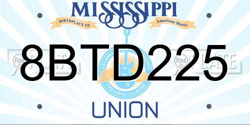 8BTD225 Mississippi License Plate