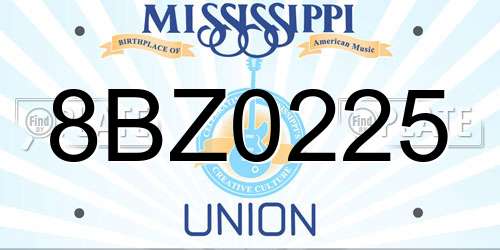 8BZ0225 Mississippi License Plate
