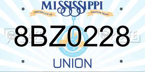 8BZ0228 Mississippi License Plate