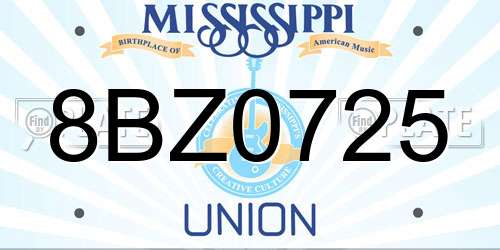 8BZ0725 Mississippi License Plate