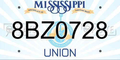 8BZ0728 Mississippi License Plate