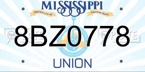8BZ0778 Mississippi License Plate