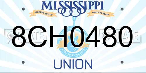 8CH0480 Mississippi License Plate