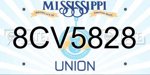 8CV5828 Mississippi License Plate