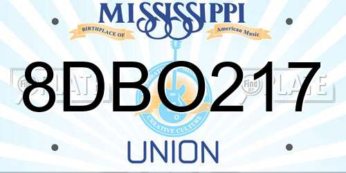 8DBO217 Mississippi License Plate