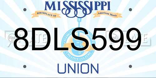 8DLS599 Mississippi License Plate
