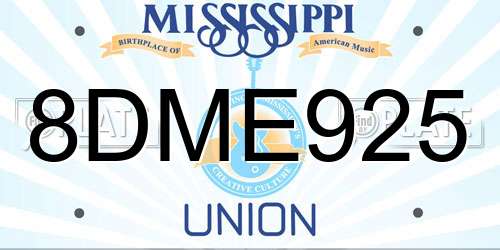 8DME925 Mississippi License Plate