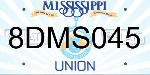 8DMS045 Mississippi License Plate