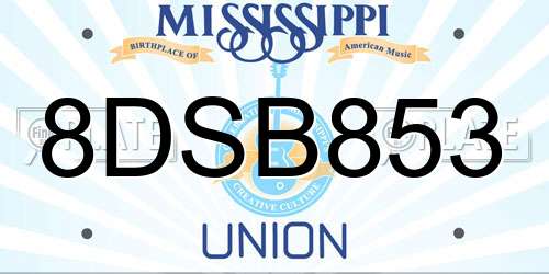 8DSB853 Mississippi License Plate
