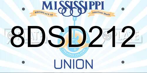 8DSD212 Mississippi License Plate