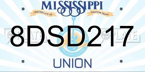 8DSD217 Mississippi License Plate