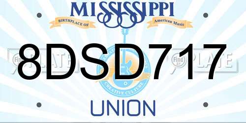 8DSD717 Mississippi License Plate