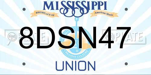 8DSN47 Mississippi License Plate