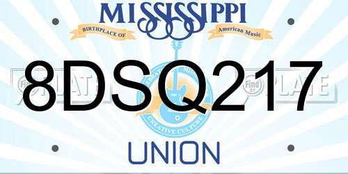 8DSQ217 Mississippi License Plate