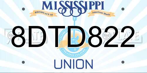 8DTD822 Mississippi License Plate